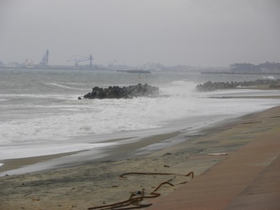 DSCN5901.jpg