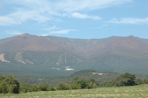 DSC_0016.jpg