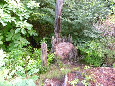 DSCN9200.jpg