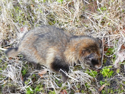 DSCN4579.jpg
