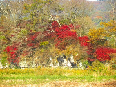 DSCN3602.jpg