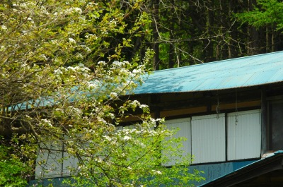 DSC_0008.jpg