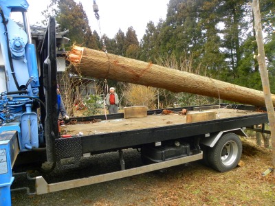 DSCN5567.jpg
