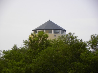 DSCN9135.jpg
