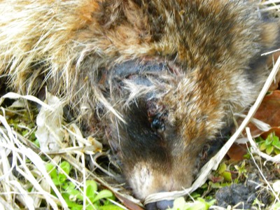 DSCN4582.jpg