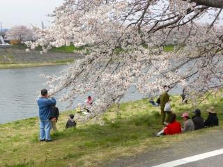 DSCN6640.jpg