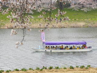 DSCN6643.jpg