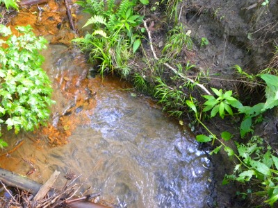 DSCN9215.jpg