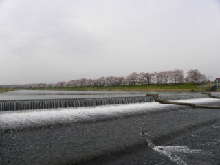DSCN6657.jpg