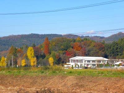 DSCN3604.jpg