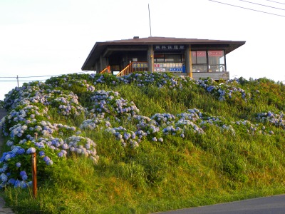DSCN9534.jpg