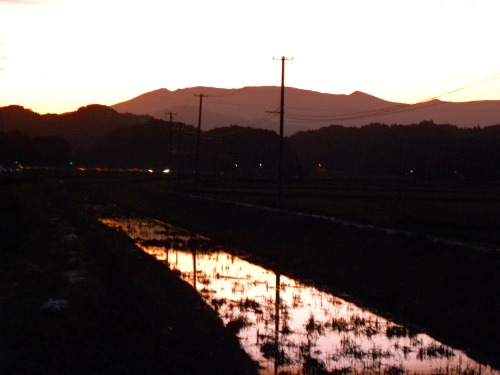DSCN6928.jpg