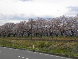 DSCN6493.jpg