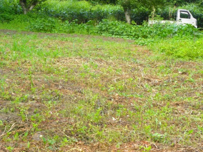 DSCN8990.jpg