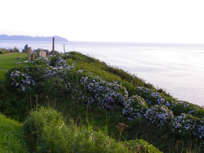 DSCN9542.jpg
