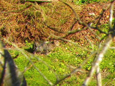 DSCN3618.jpg