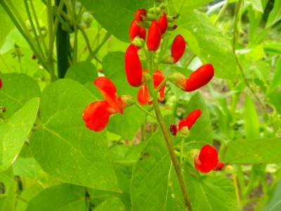 DSCN8796.jpg