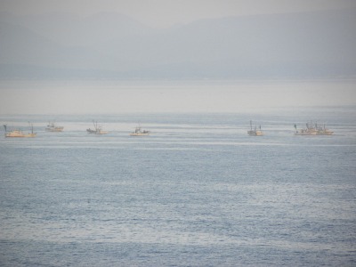 DSCN9171.jpg