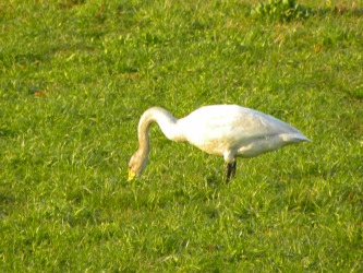 DSCN6607.jpg