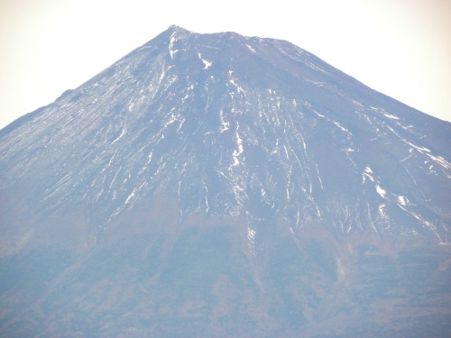 DSCN7334.jpg