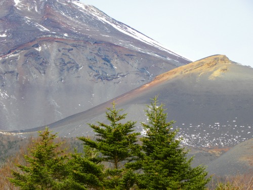 DSCN7391.jpg