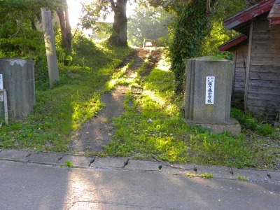 DSCN9174.jpg