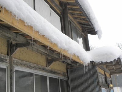 DSCN5183.jpg