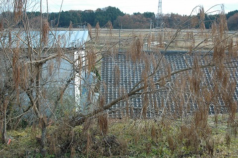 DSC_0014.jpg