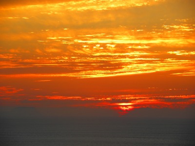 DSCN9574.jpg