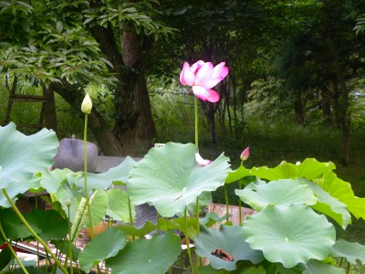DSCN9843.jpg