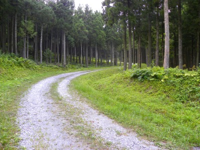 DSCN9136.jpg
