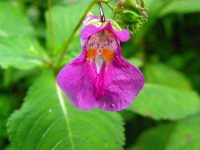 DSCN9847.jpg