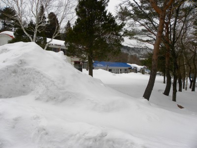 DSCN4601.jpg