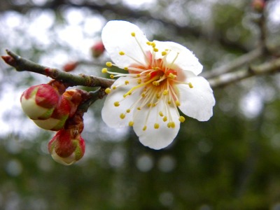 DSCN4794.jpg