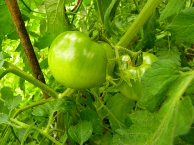 DSCN8807.jpg