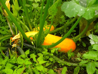 DSCN8819.jpg