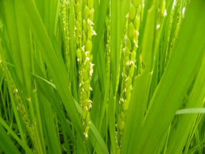 DSCN8844.jpg