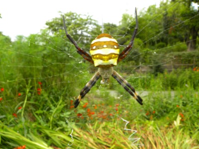 DSCN8933.jpg