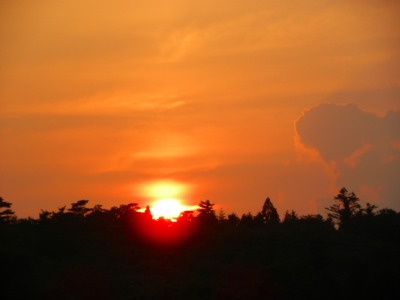 DSCN8402.jpg