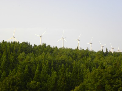 DSCN9154.jpg