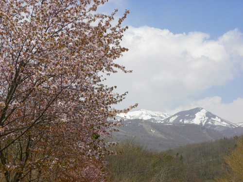 DSCN5784.jpg