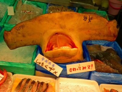 DSCN9101.jpg