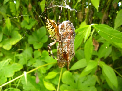 DSCN9044.jpg