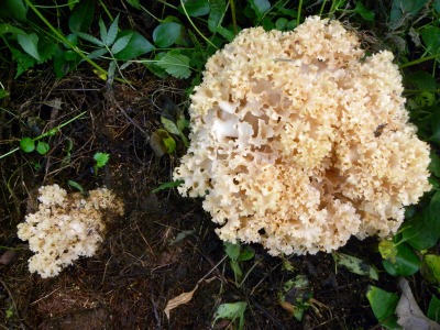 DSCN9953.jpg