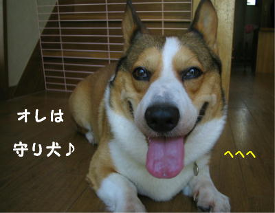 IMG100404.JPG
