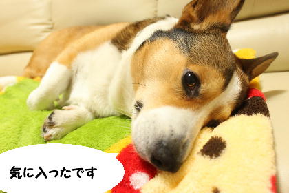 IMG010203.JPG