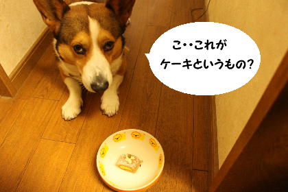 IMG010205.JPG
