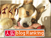 ランキング6403　ぱくり.gif