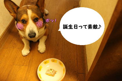 IMG010206.JPG