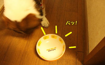 IMG010208.JPG